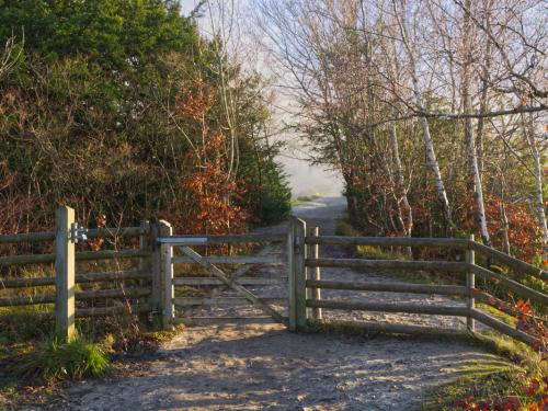 Path and gate on Box Hill at Dorking, Surrey, England