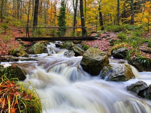 Waterfall and a wooden bridge in the forest in Solwaster, Belgium. Autumn colors, long exposure, nobody