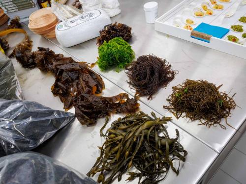 Seaweed based food products pictured at the launch of the first 'algae month' to promote seaweed as a source of protein, in Oostende, Saturday 30 April 2022. BELGA PHOTO KURT DESPLENTER