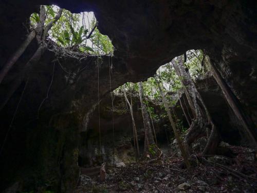 Picture taken in the cave system known as Garra de Jaguar (Jaguar's Claw), near the construction site of Section 5 South of the Mayan Train between the resorts of Playa del Carmen and Tulum which was halted by a district judge pending resolution of an injunction sought by scuba divers and environmentalists -- in the jungle in Playa del Carmen, Quintana Roo State, Mexico, on April 26, 2022. - A Mexican judge earlier this month suspended construction of part of President Andres Manuel Lopez Obrador's flagship tourist train project in the Yucatan peninsula due to a lack of environmental impact studies. The Mayan Train, a roughly 1,500-kilometre (950 mile) rail loop linking popular Caribbean beach resorts and archeological ruins, has met with opposition from environmentalists and indigenous communities. (Photo by Pedro PARDO / AFP)
