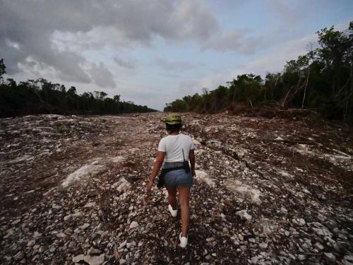 An activist walks through the construction site of Section 5 South of the Mayan Train between the resorts of Playa del Carmen and Tulum which was halted by a district judge pending resolution of an injunction sought by scuba divers and environmentalists -- in the jungle in Playa del Carmen, Quintana Roo State, Mexico, on April 27, 2022. - A Mexican judge earlier this month suspended construction of part of President Andres Manuel Lopez Obrador's flagship tourist train project in the Yucatan peninsula due to a lack of environmental impact studies. The Mayan Train, a roughly 1,500-kilometre (950 mile) rail loop linking popular Caribbean beach resorts and archeological ruins, has met with opposition from environmentalists and indigenous communities. (Photo by Pedro PARDO / AFP)