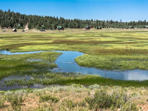 View of the field of Duck Creek Village in Dixie National Forest, Utah