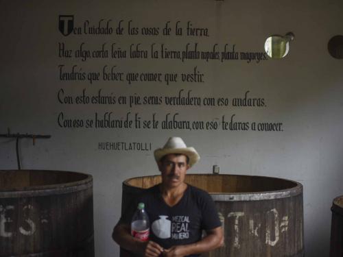 A worker looks on at the Real Minero mezcal factory in Santa Catarina Minas, Oaxaca State, Mexico, on July 25, 2022. - Craft distillers fear mezcal will become victim of its own success. The fast-growing popularity of Tequila's lesser-known cousin is raising concerns about its sustainability as strong demand means that more land, water and firewood are needed to grow the agave plants and distill the smoky spirit. Faced with the boom, craft producers are committed to saving wild species by planting them and showcasing the artisanal process behind the liquor. (Photo by Pedro PARDO / AFP)