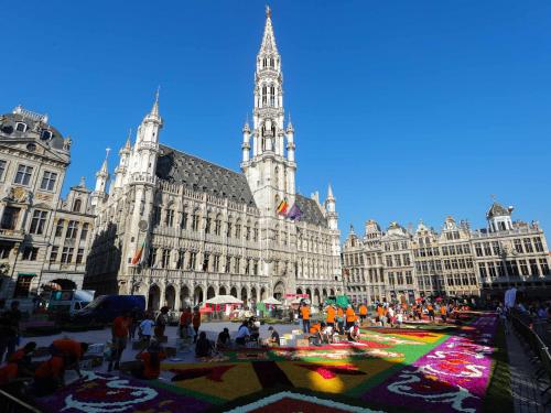 (220812) -- BRUSSELS, Aug. 12, 2022 (Xinhua) -- People prepare the flower carpet at the Grand Place in Brussels, Belgium, Aug. 12, 2022. After the cancellation of the Flower Carpet 2020 due to the COVID-19 pandemic, the traditional festival returned to Brussels from August 12 to 15, 2022. The theme of the Flower Carpet 2022 is "50th Anniversary of the Brussels Flower Carpet". Artists reinterpret the design of the pattern of the first flower carpet in 1971, using about 140,000 begonias, 225,000 dahlias, dyed bark, rolls of turf, chrysanthemums and euonymus. (Xinhua/Zheng Huansong)