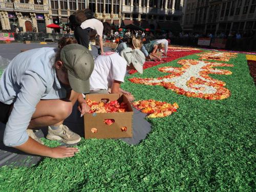 The last hand is put to the 50th edition of the Flower Carpet at The Grand Place/Grote Markt of Brussels, before it's opening today, Friday 12 August 2022. The show last four days, from 12 to 15 August.BELGA PHOTO NICOLAS MAETERLINCK