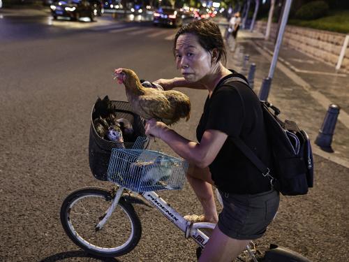 WUHAN, CHINA - AUGUST 10: (CHINA OUT) A woman rides a bike with her pet chickens and ducks in the street near the Han and Yangtze rivers on August 10, 2022 in Wuhan, Hubei Province, China. According to local media reports, Meteorological departments have issued high temperature red warnings in many parts of southern China. Temperatures exceeded 40 degrees Celsius, about 104 degrees Fahrenheit. (Photo by Getty Images)