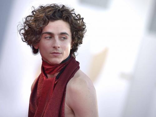 American actor Timothee Chalamet at the 79 Venice International Film Festival 2022.  Bones And All Red Carpet. Venice (Italy), September 2nd, 2022 (Photo by Rocco Spaziani/Archivio Spaziani/Mondadori Portfolio via Getty Images)