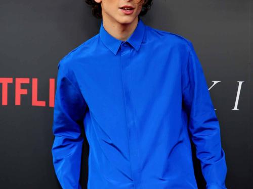 SYDNEY, AUSTRALIA - OCTOBER 10: Timothee Chalamet attends the Australian premiere of THE KING at Ritz Cinema on October 10, 2019 in Sydney, Australia. (Photo by Don Arnold/WireImage)