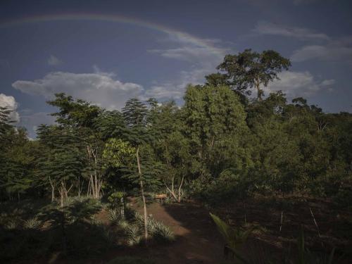 A general view of a rainbow seen on the pilot farm in Yangambi, 100 km from the city of Kisangani, in the province of Tshopo, northeastern Democratic Republic of Congo on September 1, 2022. - The pilot farm is an initiative supported by Center for International Forestry Research (CIFOR) to help the community and scientists understand how a crop behaves before it can be sustained on a large scale. (Photo by Guerchom Ndebo / AFP)