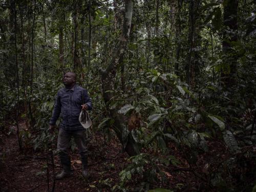 A scientist inspects the devices installed in the trees in the Yangambi Biosphere Reserve, 100 km from the city of Kisangani, Tshopo Province, northeastern Democratic Republic of Congo, September 2, 2022. - The 55-meter high Flux Tower, which quantifies the carbon, absorbed or emitted by the forest, stands in the lush setting of the Yangambi biosphere reserve, which covers some 250,000 hectares along the Congo River, in the province of Tshopo. (Photo by Guerchom Ndebo / AFP)