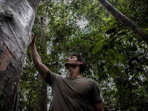 Thomas Sibret, scientist and student at the University of Ghent, verifies the devices installed in the trees in the Yangambi Biosphere Reserve, 100 km from the city of Kisangani, in the province of Tshopo, northeast of the Democratic Republic of Congo, on September 2, 2022 - The 55-meter high Flux Tower, which quantifies the carbon, absorbed or emitted by the forest, stands in the lush setting of the Yangambi biosphere reserve, which covers some 250,000 hectares along the Congo River, in the province of Tshopo. (Photo by Guerchom Ndebo / AFP)