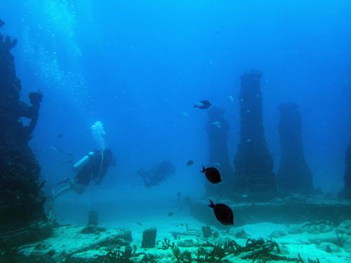 Scuba divers swim through the man-made Neptune Memorial Reef, 3.25 miles (5.2 kms) off the coast of Key Biscayne, Florida, on May 14, 2022. - The memorial, which opened in 2007, is a columbarium 3.25 miles (5.2 km) off the coast of Key Biscayne, Florida, at a depth of 40 feet (12 meters.) The ashes of Chef Julia Child were interred in the reef upon her death in 2004. (Photo by CHANDAN KHANNA / AFP)