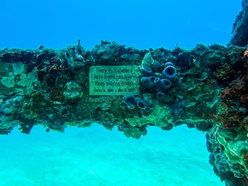 A memorial plaque is placed at the man-made Neptune Memorial Reef, 3.25 miles (5.2 kms) off the coast of Key Biscayne, Florida, on May 14, 2022. - The memorial, which opened in 2007, is a columbarium 3.25 miles (5.2 km) off the coast of Key Biscayne, Florida, at a depth of 40 feet (12 meters.) The ashes of Chef Julia Child were interred in the reef upon her death in 2004. (Photo by CHANDAN KHANNA / AFP)