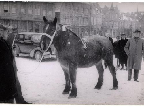 Paardenmarkt in de sneeuw op het Vandenpeereboomplein in de jaren ‘30