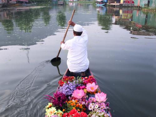 Vendeur de fleurs sur le lac Dal, au Cachemire