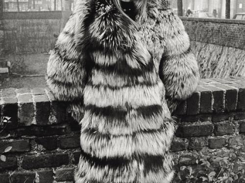 Françoise Hardy pose vêtue d'une fourrure à Milan, dans les années 1960