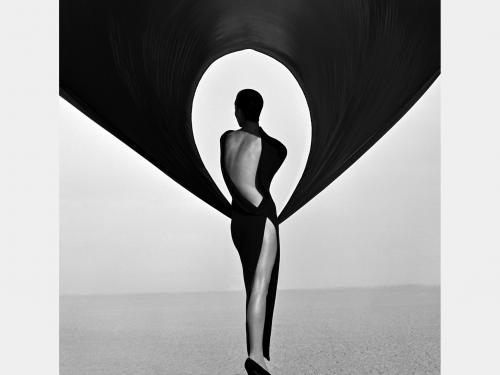 Versace Dress (Back View), Herb Ritts, 1990 
Elton John a commencé par collectionner les photos de mode en noir et blanc. L’exposition s’ouvre sur ces images sensuelles et sophistiquées, comme celle réalisée par Herb Ritts, avec son fétichisme reconnaissable pour les forts contrastes en noir et blanc, les arrière-plans simples etla lumière du soleil californien.