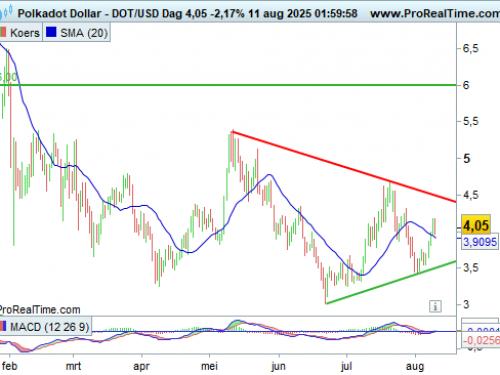 Polkadot USD - Dag