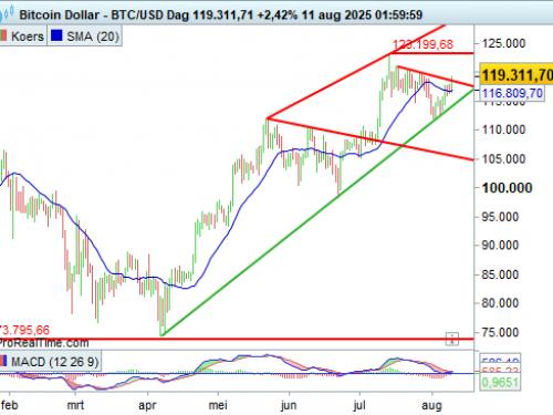 Bitcoin USD - Dag