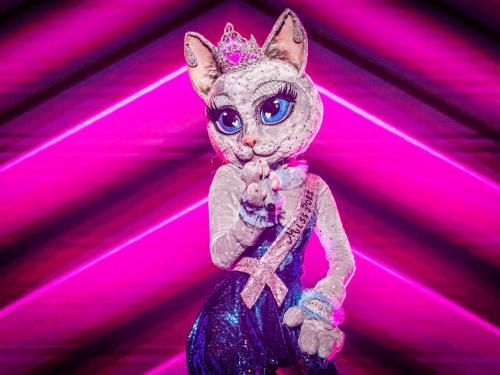 Wie is de mysterieuze Miss Poes?