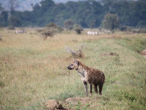 Lake Nakuru National Park.