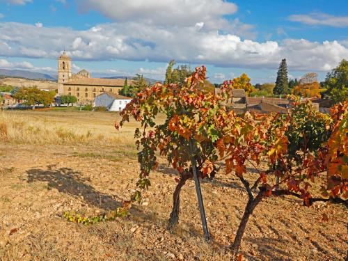 Les vignobles de la Rioja.