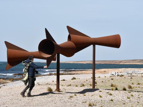 Kunstwerk op een onherbergzaam strand bij Bahía Bustamante.