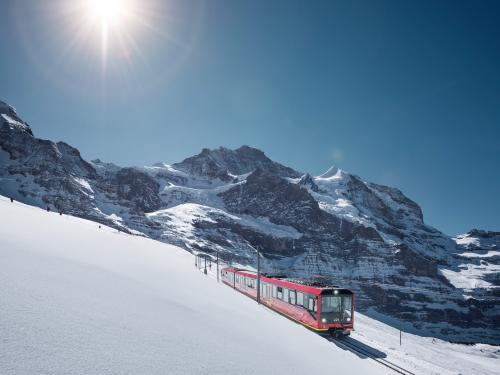 Train panoramique, qui fait le tour du lac de Brienz.