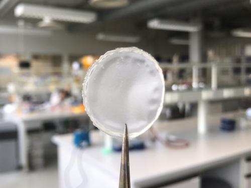 PHA-biopolymeren die geproduceerd werden met behulp van bacteriën.