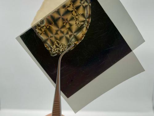 Biopolymeerstaaltjes tussen gekruiste polarisatiefilters, wat gebruikt wordt bij het onderzoeken van de kristallisatie.
