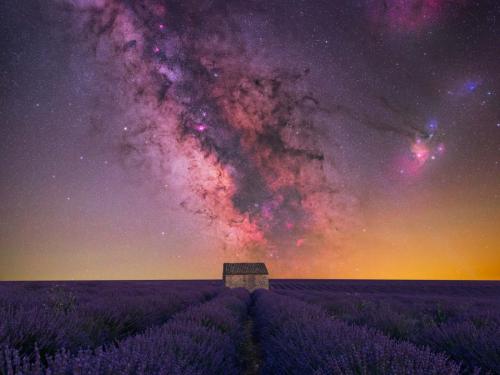 'House of Lavender' gemaakt in Valensole in Frankrijk door Benjamin Barakat