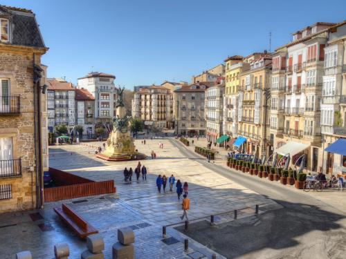 Vitoria-Gasteiz is de hoofdstad van Spaans Baskenland en na Bilbao de grootste stad in de regio. Toch ademt Vitoria-Gasteiz een en al rust. Dat komt door het verkeersvrije centrum, de enorme hoeveelheid bomen en het grote stadspark. Vitoria-Gasteiz behoort dan ook tot  de groenste steden in Europa. De stad heeft een fraai, historisch en heuvelachtig centrum met 17e-eeuwse paleizen, kerken, huizen en pleinen.