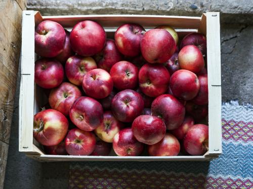 Appels bewaren ook best lang buiten de koelkast