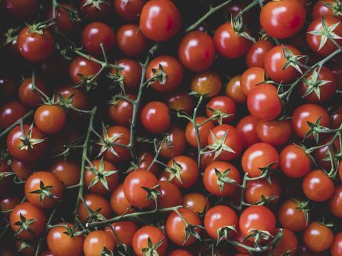 Tomaten verliezen hun smaak en textuur in de koelkast
