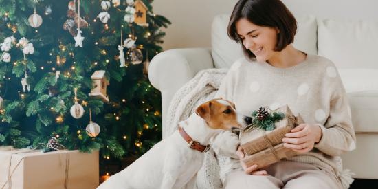 kerstcadeautjes voor hondenliefhebbers