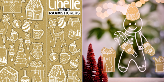 Libelle raamstickers