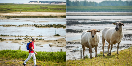 zwin wandelroute
