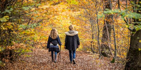 herfstwandelingen ardennen