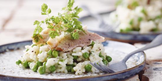 risotto