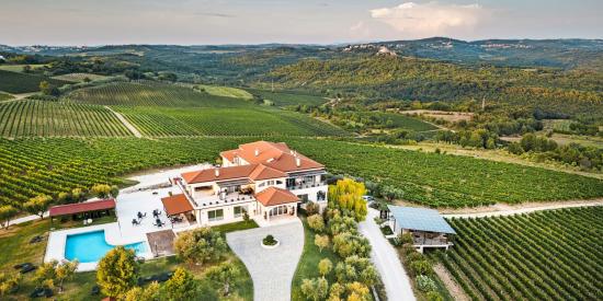 vignobles