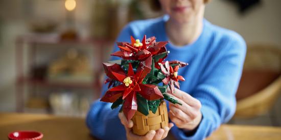 concours étoile de Noël LEGO®