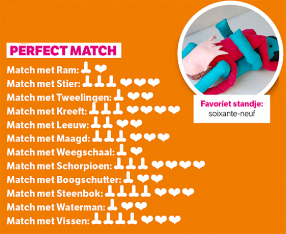 Match Stier