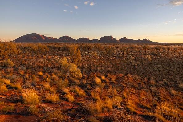 reistrends 2026 outback