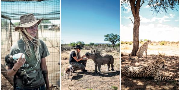 Entre guépards et dunes de sable: à la découverte de l'envoutante Namibie