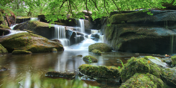 Forêt du Huelgoat - Getty
