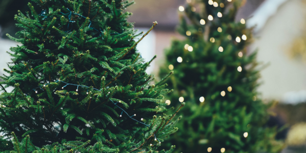 IKEA vous offre un cadeau de Noël en avance - Canva