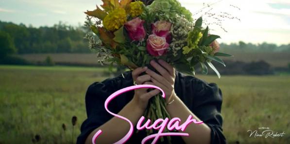 Sugar - ©Sugar