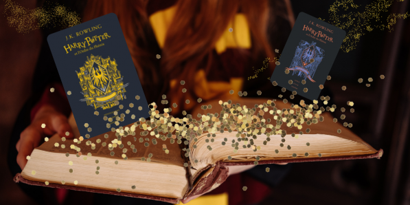 Harry Potter se dévoile en version collector chez Gallimard DR Flair