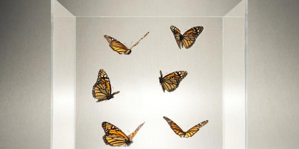 Papillons dans le ventre - Getty