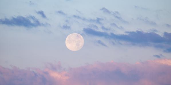 Pleine Lune rose - Getty